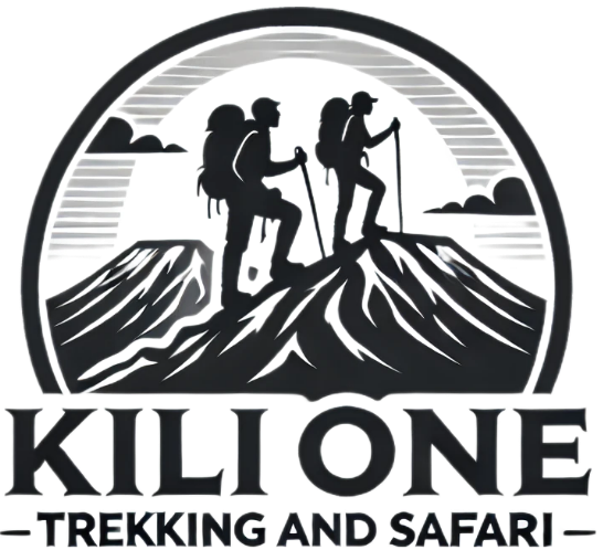 KILI ONE TREKKING AND SAFARI